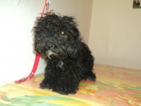 /album/fotos/de-todo-010-jpg/